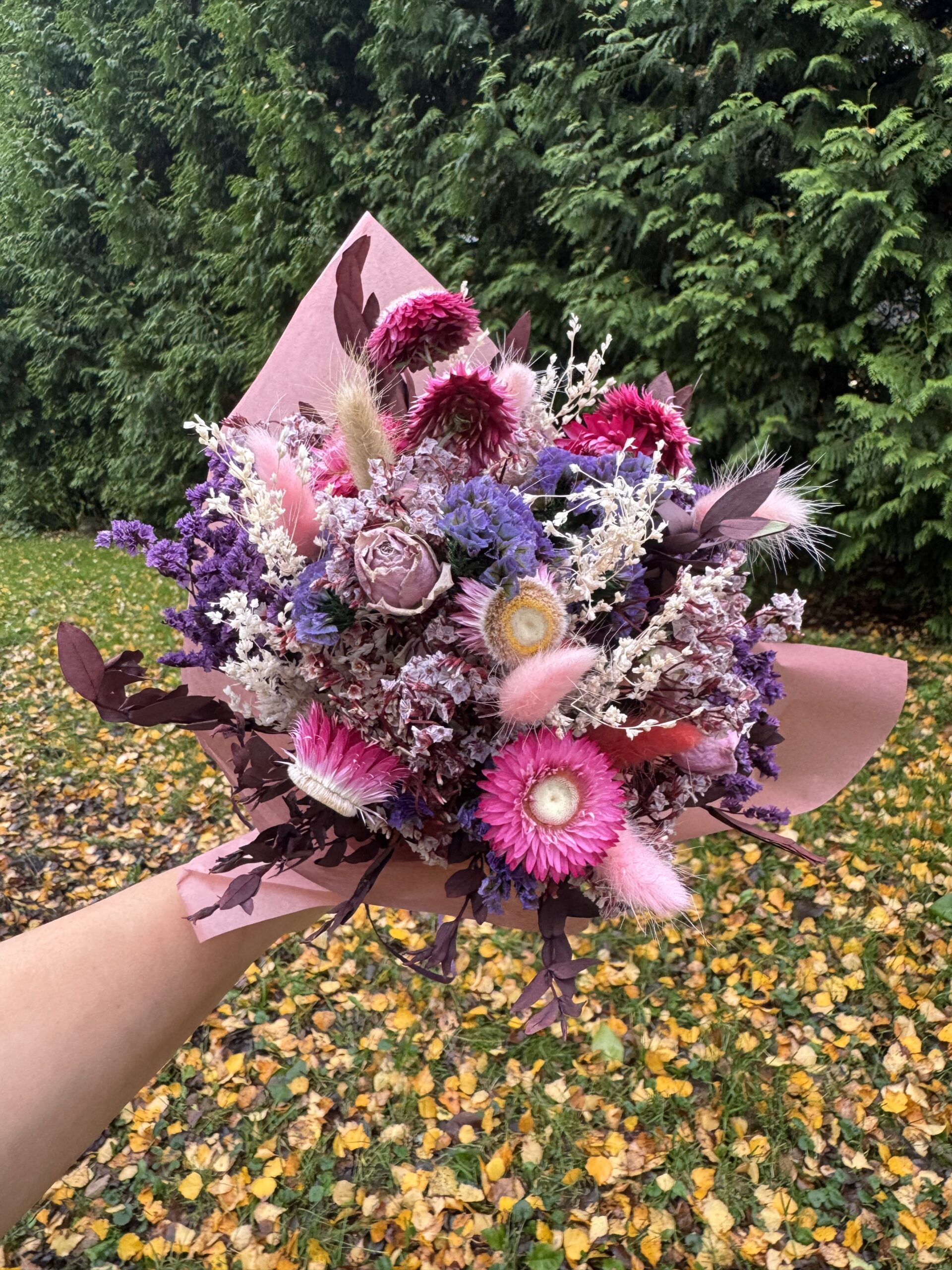 roosakas unistus roosakas unistus