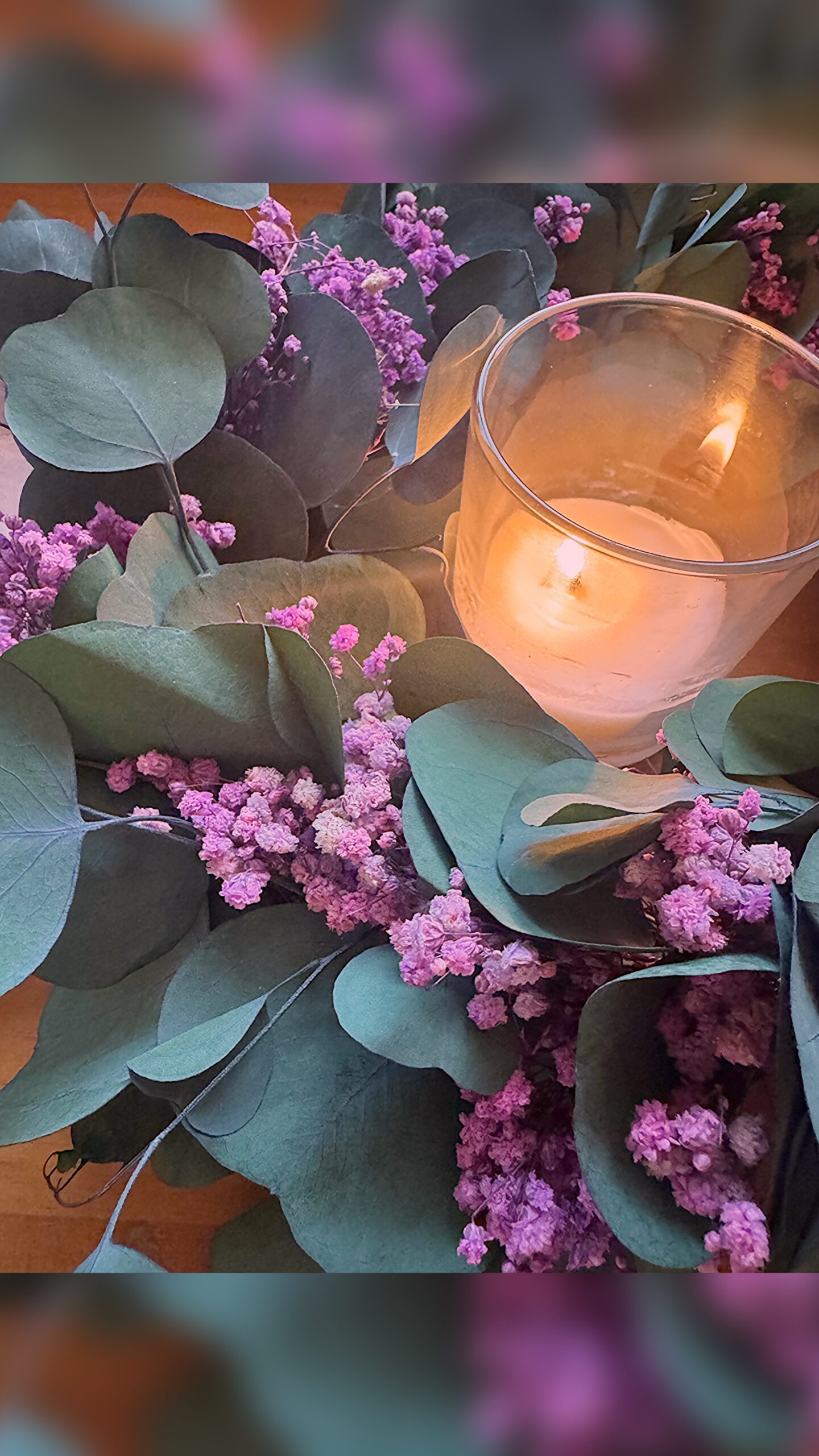 eukalüptivaikus eukalüptivaikus